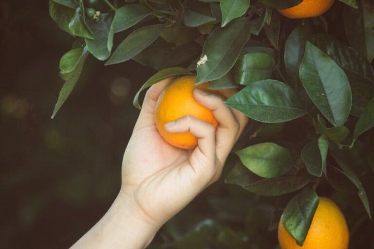 How to get started with contract lifecycle management – Three low-hanging fruits
