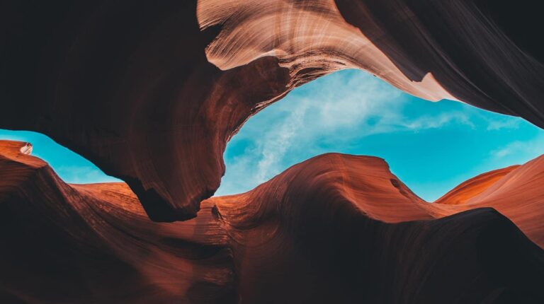 nature image